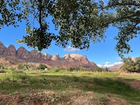 View out our patio door