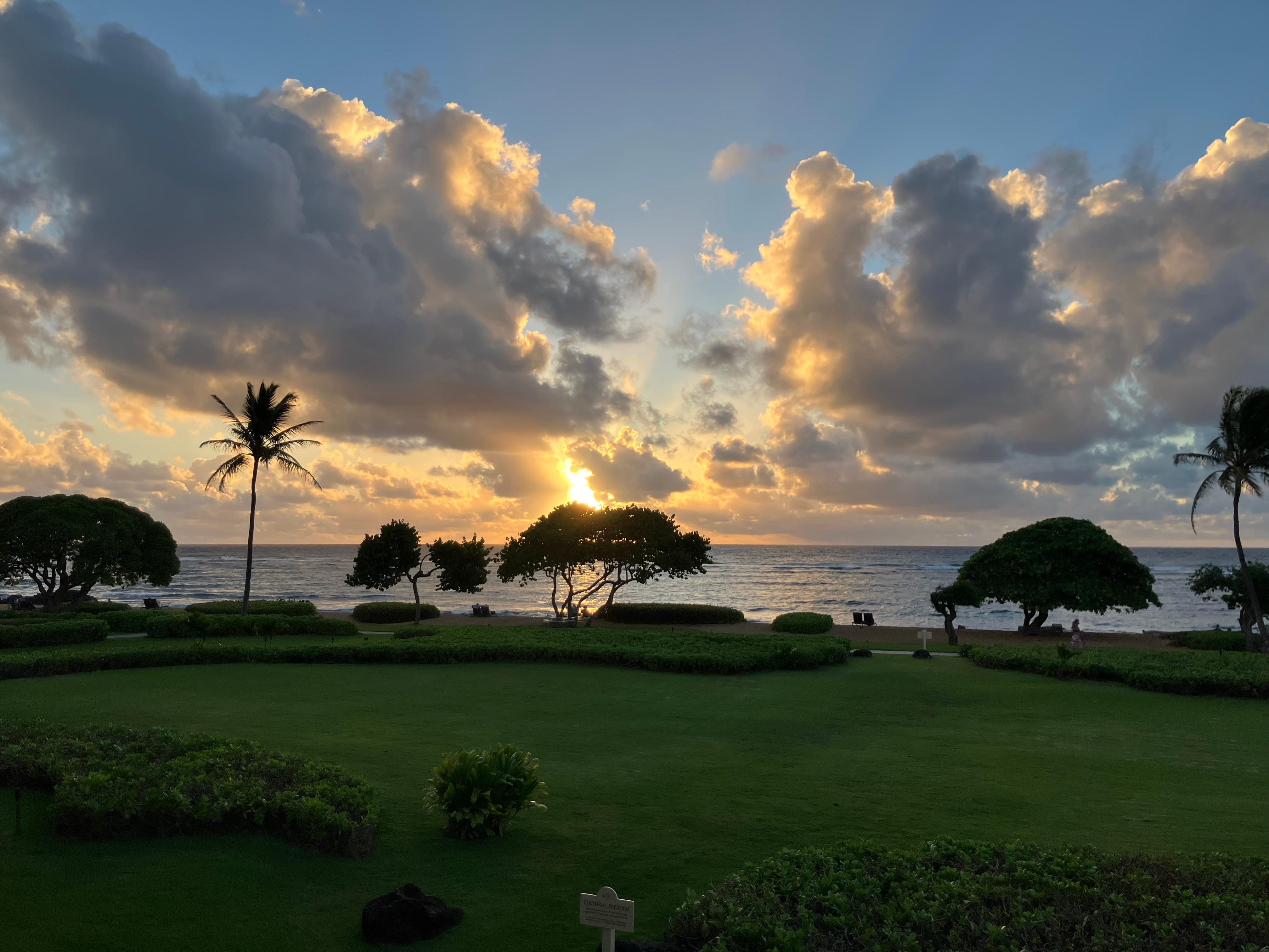 Morning sunrise view.