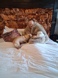 The bedding is FABULOUS