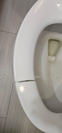 Cracked toilet seat