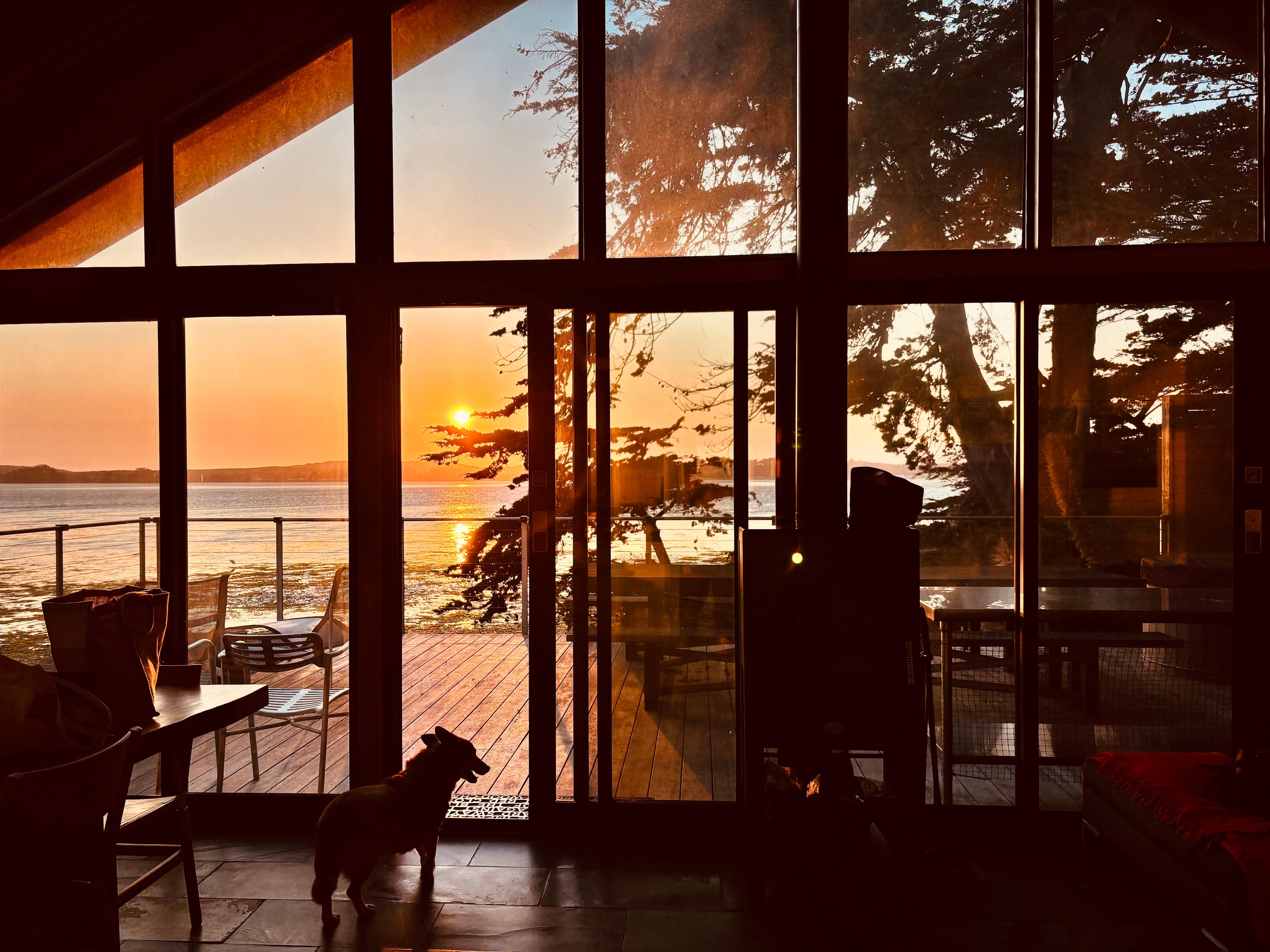 First sunset. Dog friendly