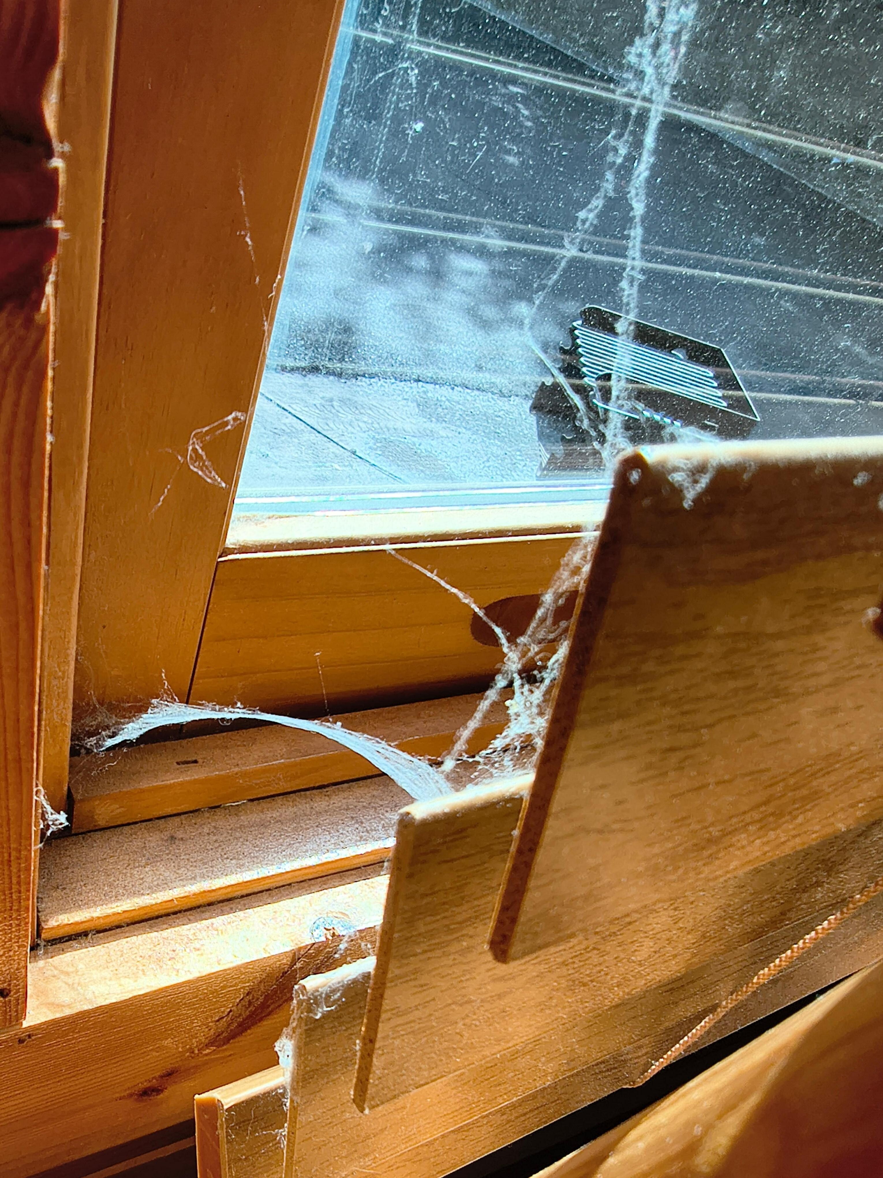 Example of spider webs in main bedroom. Many windows and decorations had a heavy layer of dust. 