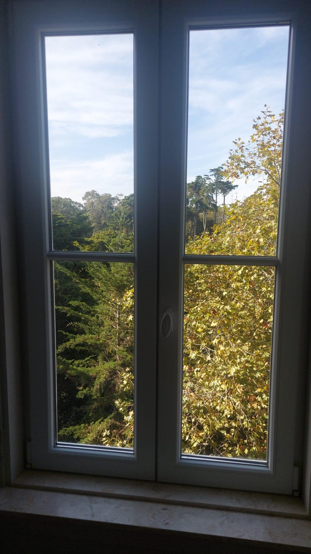 Vista do nosso quarto para a Bela Mata.