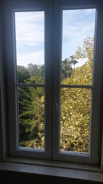 Vista do nosso quarto para a Bela Mata.