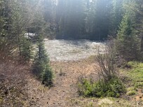 Snake River near the Condo.