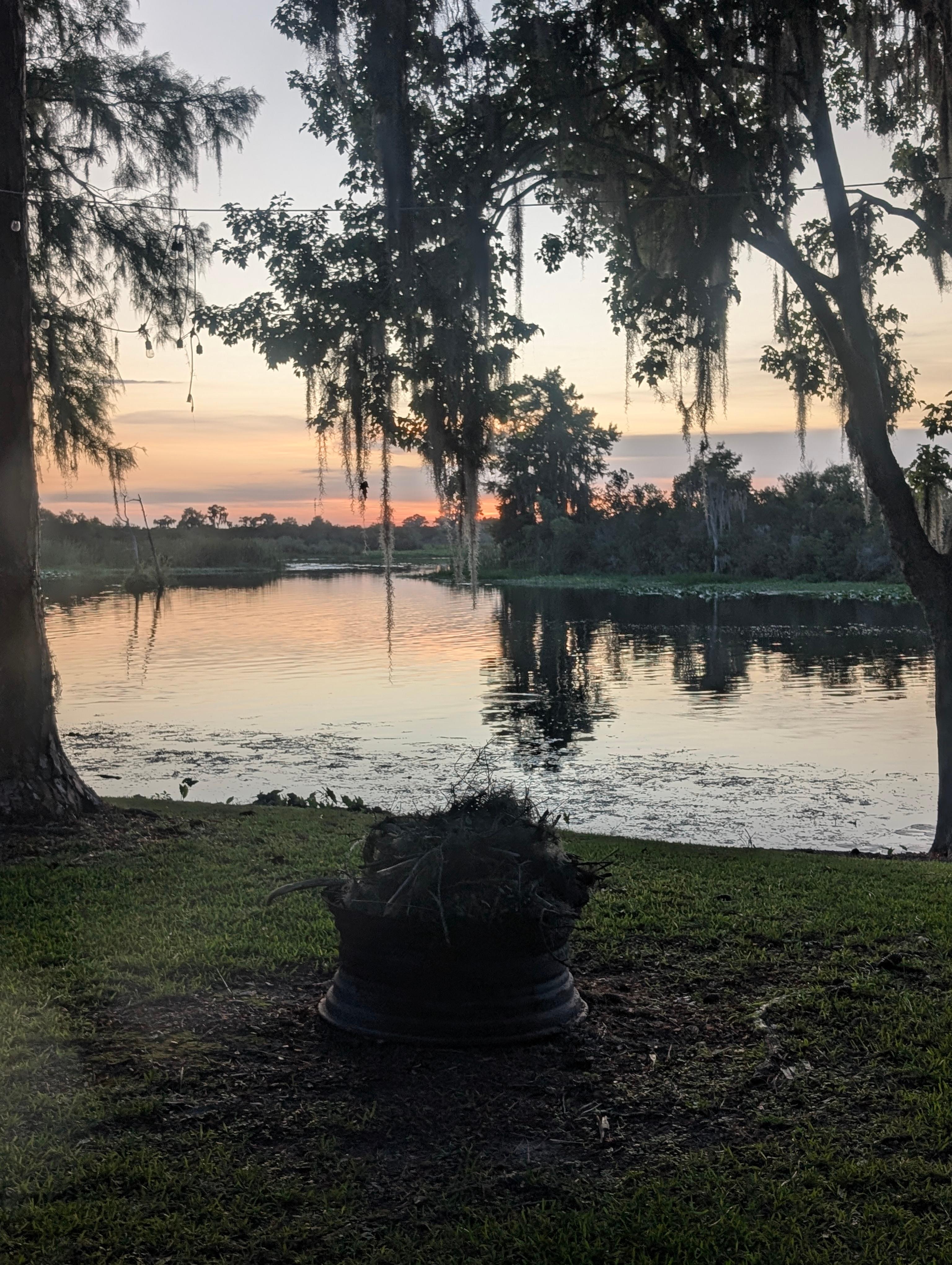 Fire pit sitting area