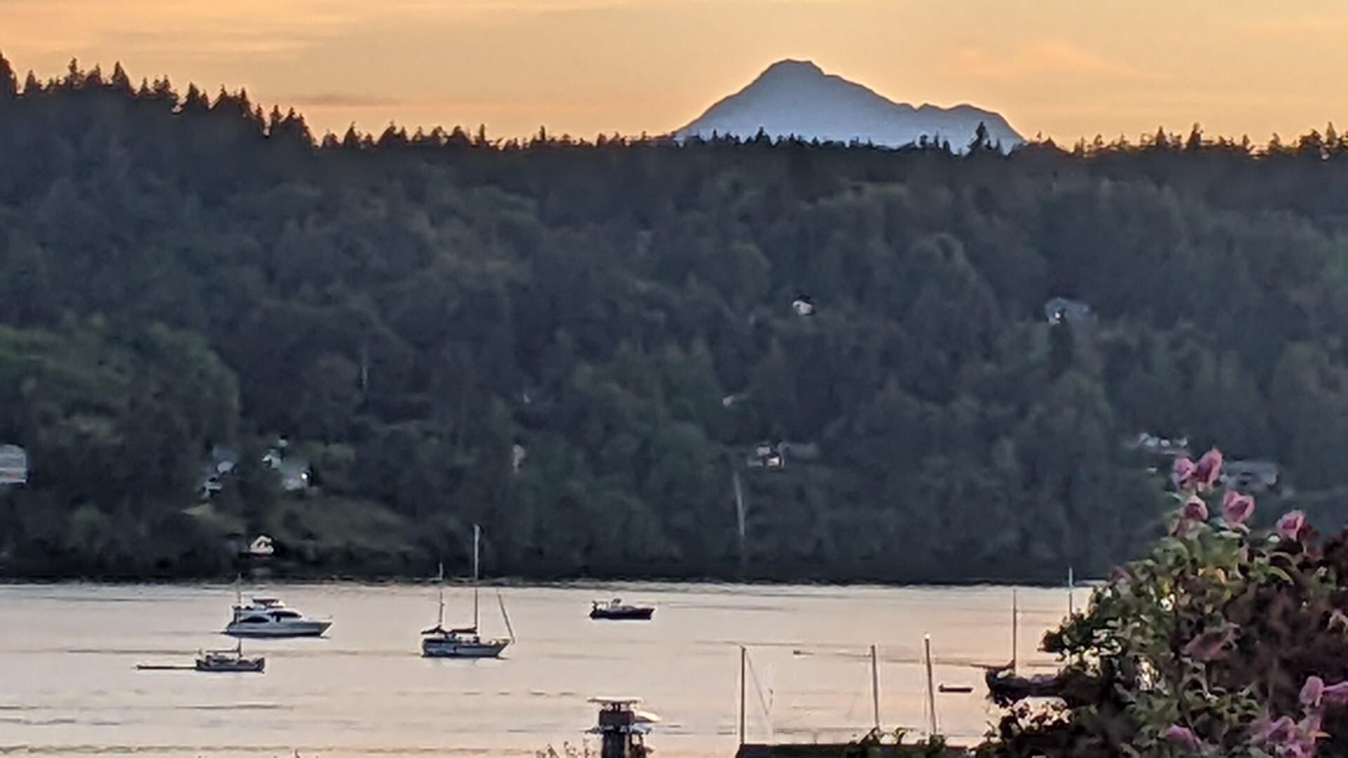 Zoomed in view