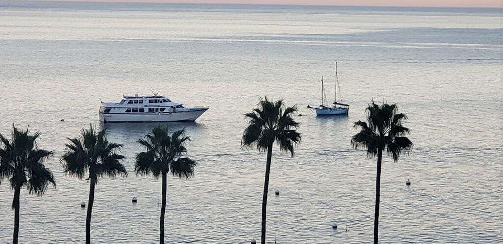 View from the bedroom window 