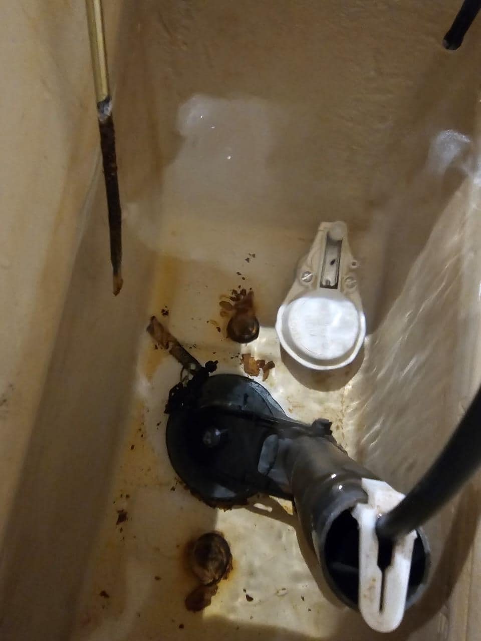 la palanca del wc totalmente rota por oxidada... ya con "reparación" previa