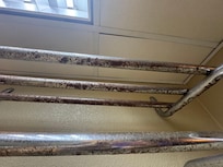 Rust everywhere