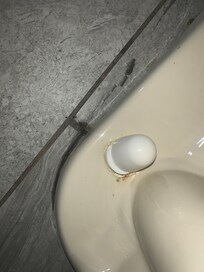 bottom of toilet