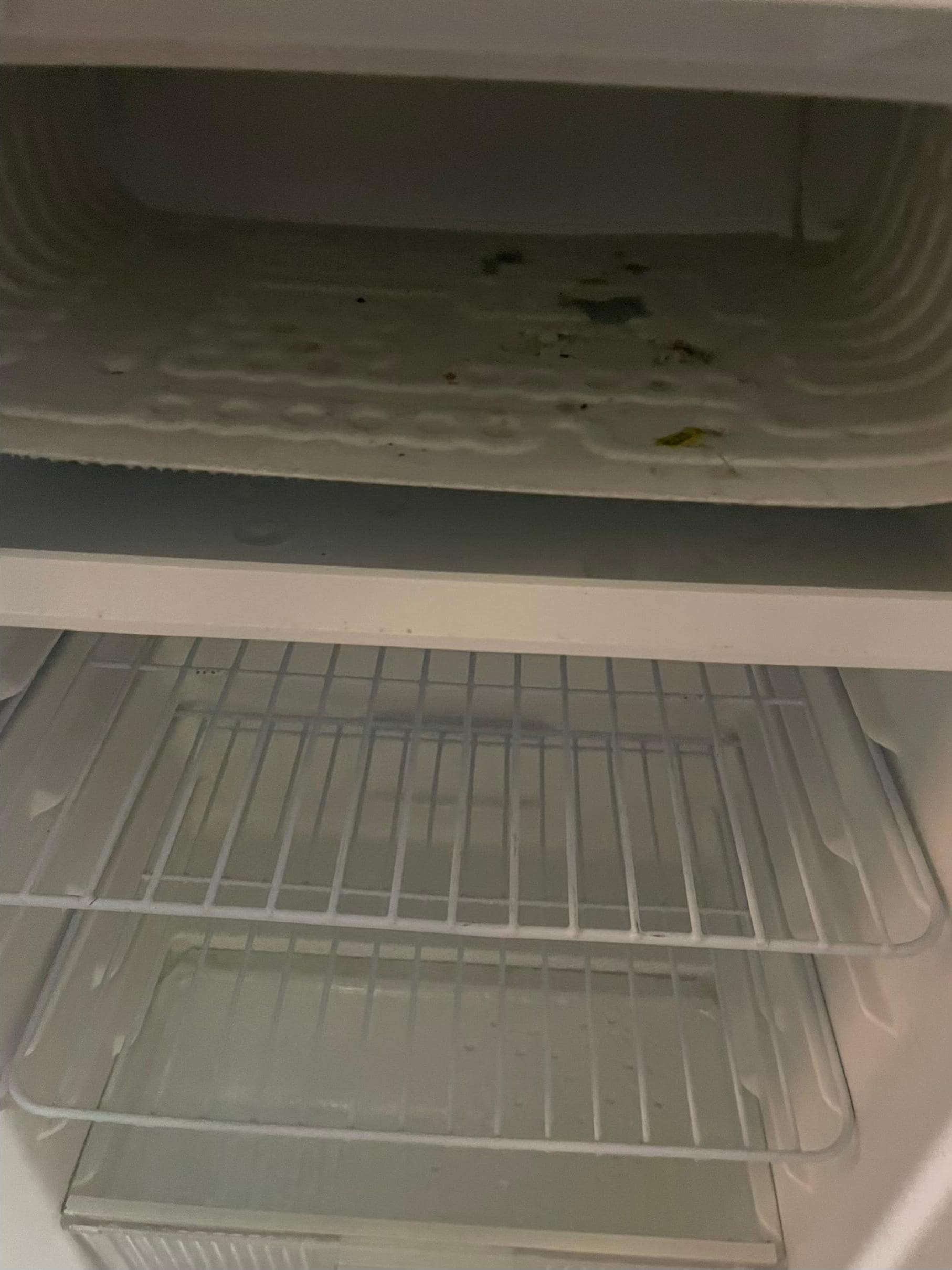 Suspected mold