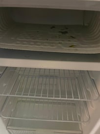 Suspected mold