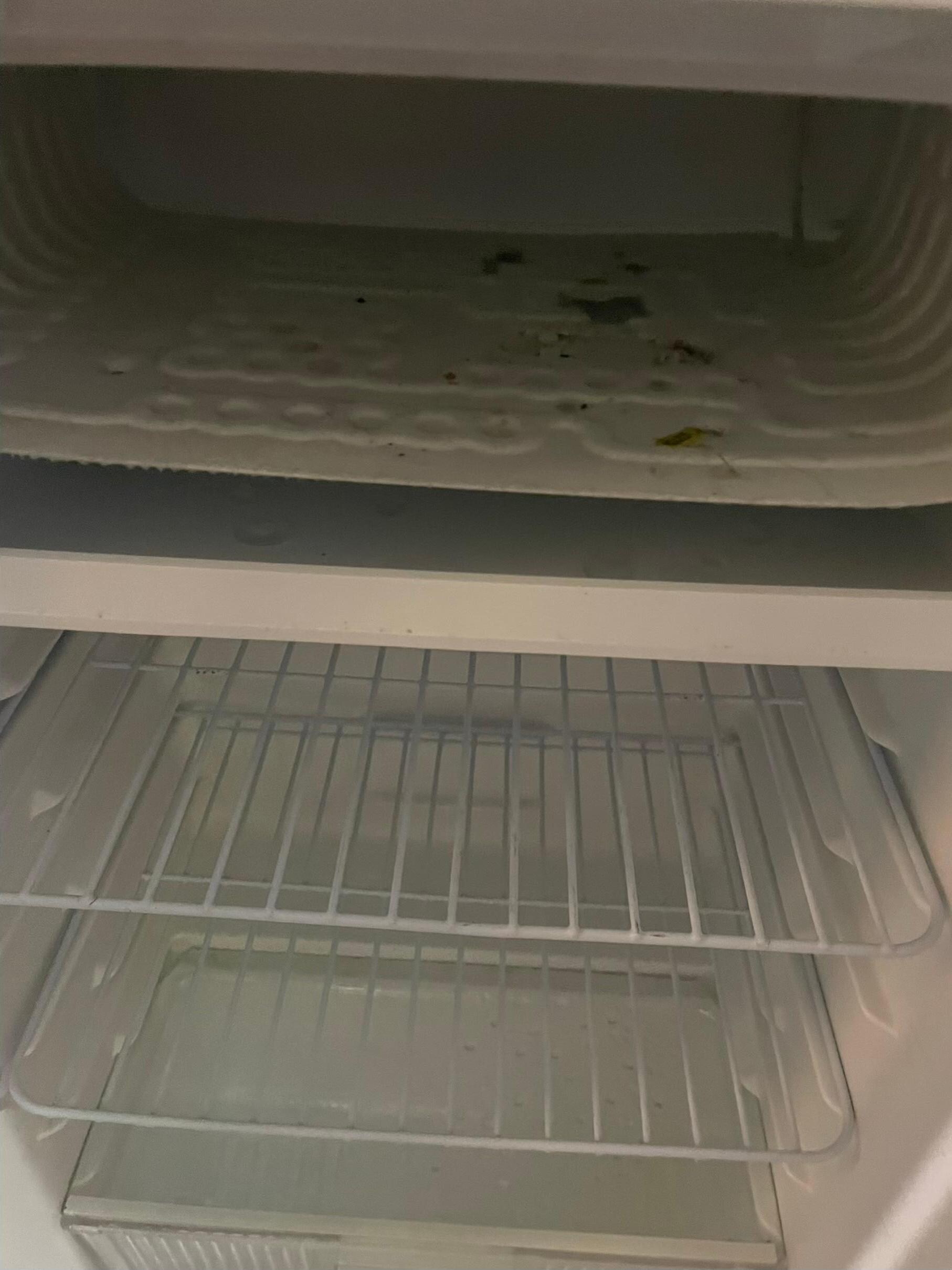 Suspected mold