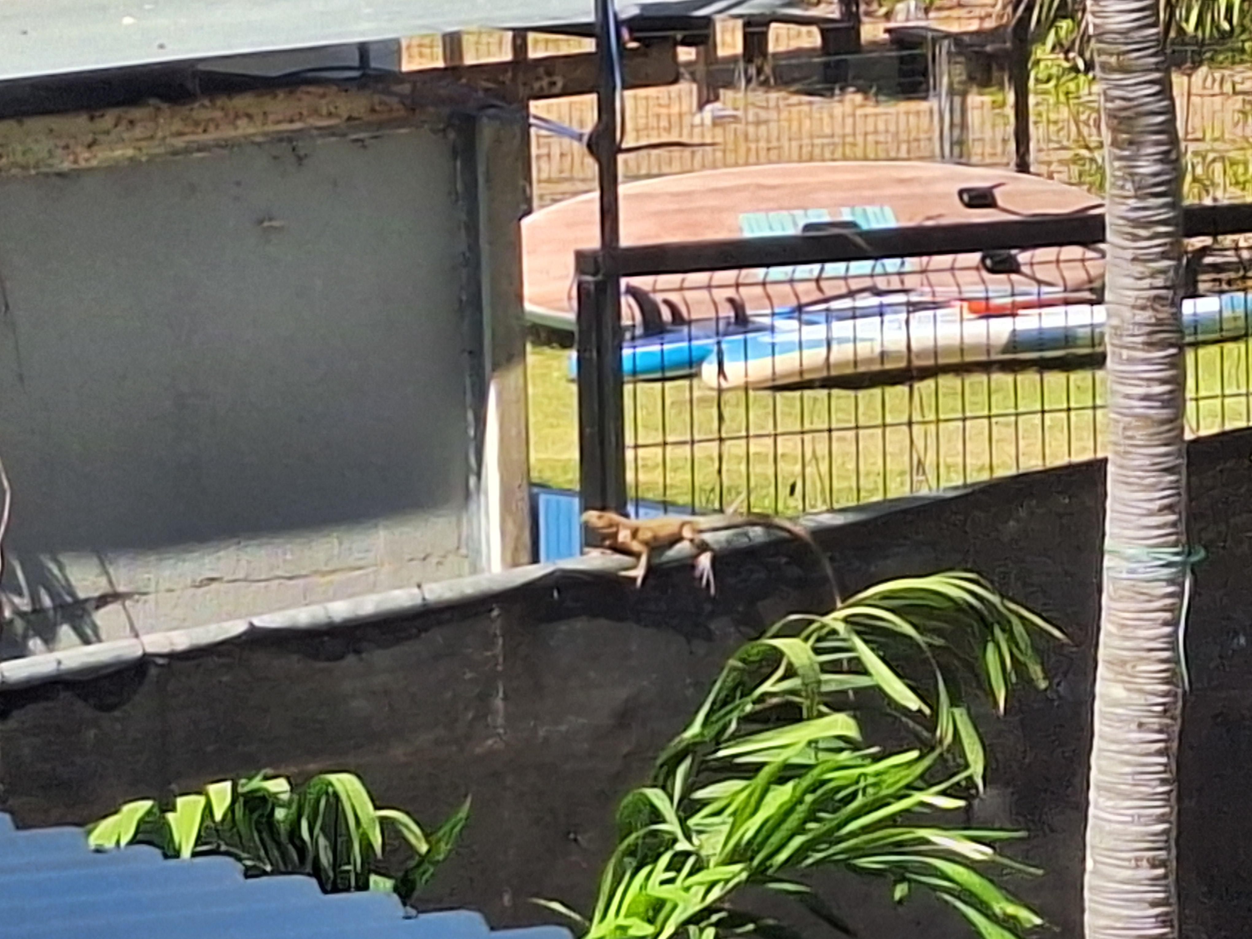 Looking to see animals? You won't be disappointed!!