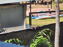 Looking to see animals? You won't be disappointed!!