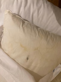 Mold on pillows