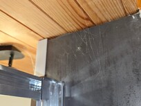 Toile d'araignée dans l'encadrement de la porte de douche