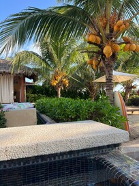 Beautiful grounds at the property