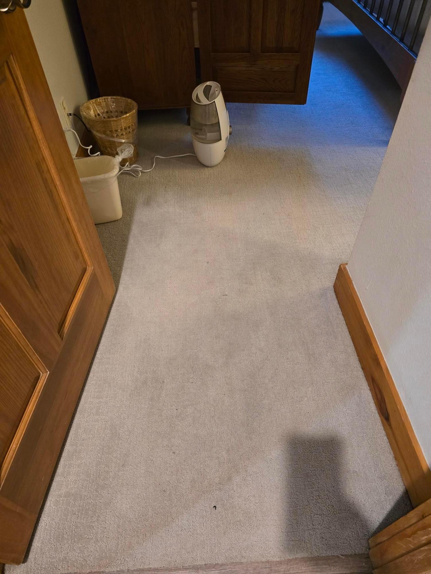 The carpets in the bedrooms are worn, and the main hallway carpet on each floor appears extremely old and heavily worn, which makes the unit feel dirty, filthy, and poorly maintained.
