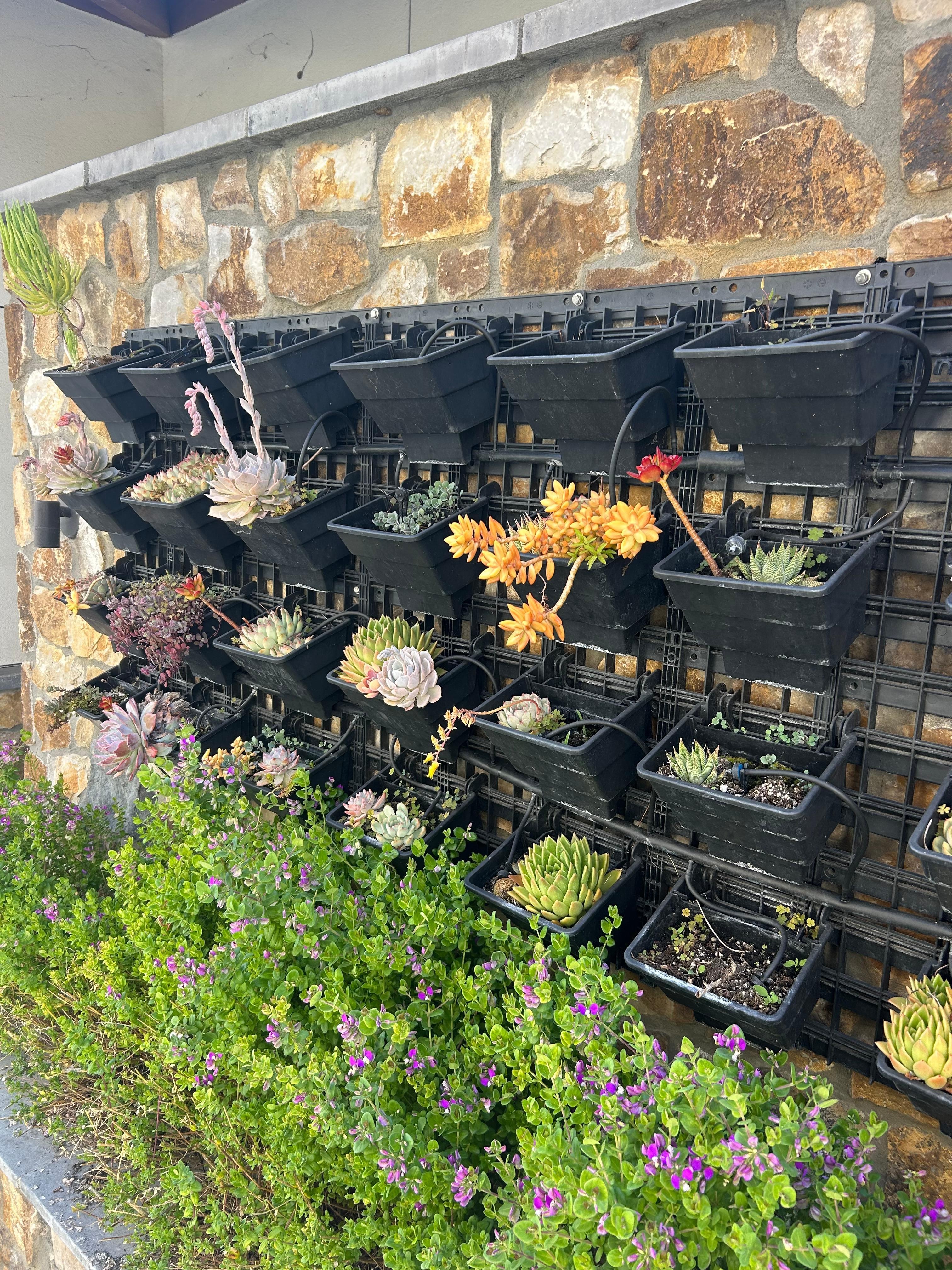 The succulent garden was awesome