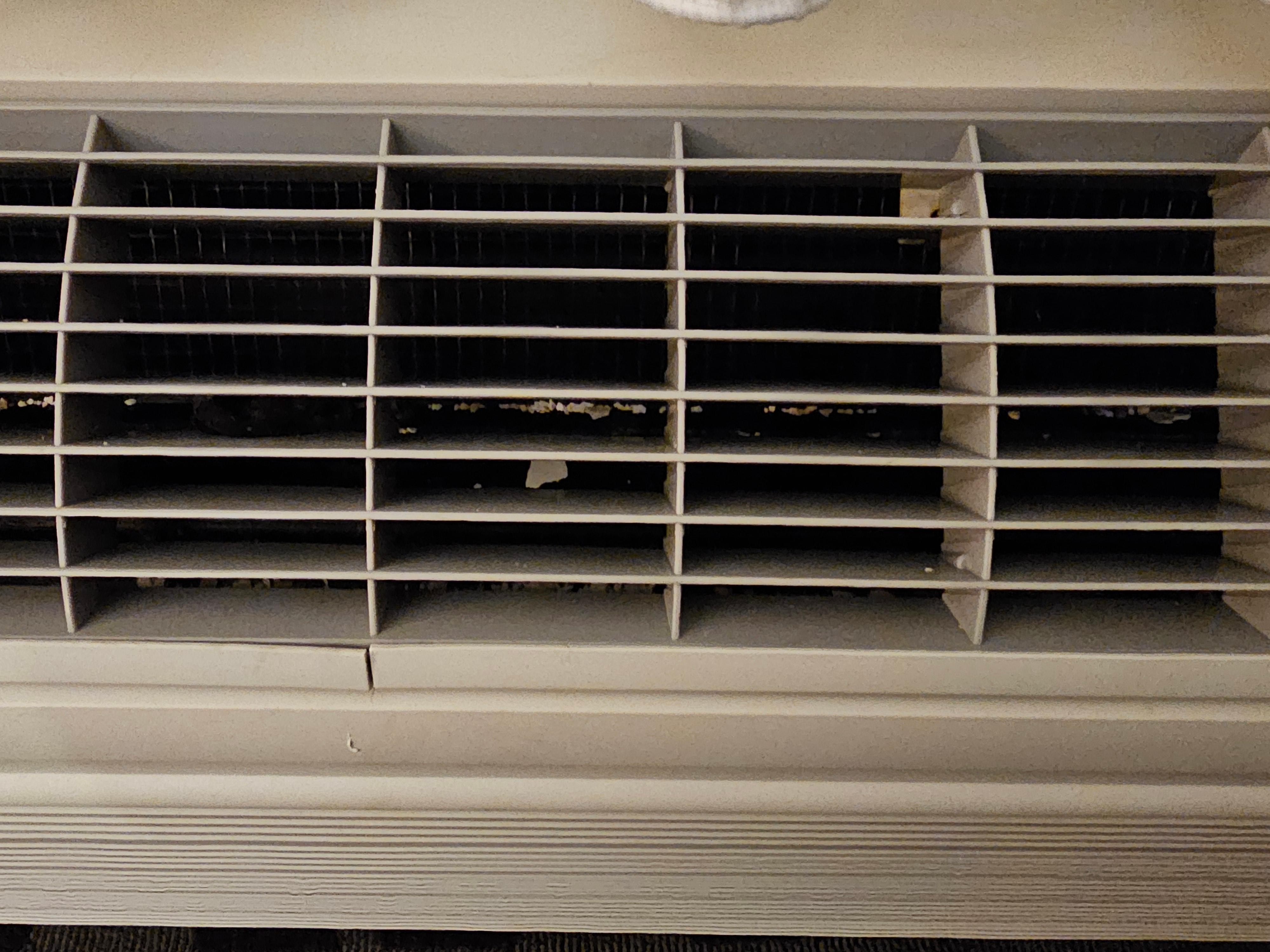 Debris in Air Conditioner 