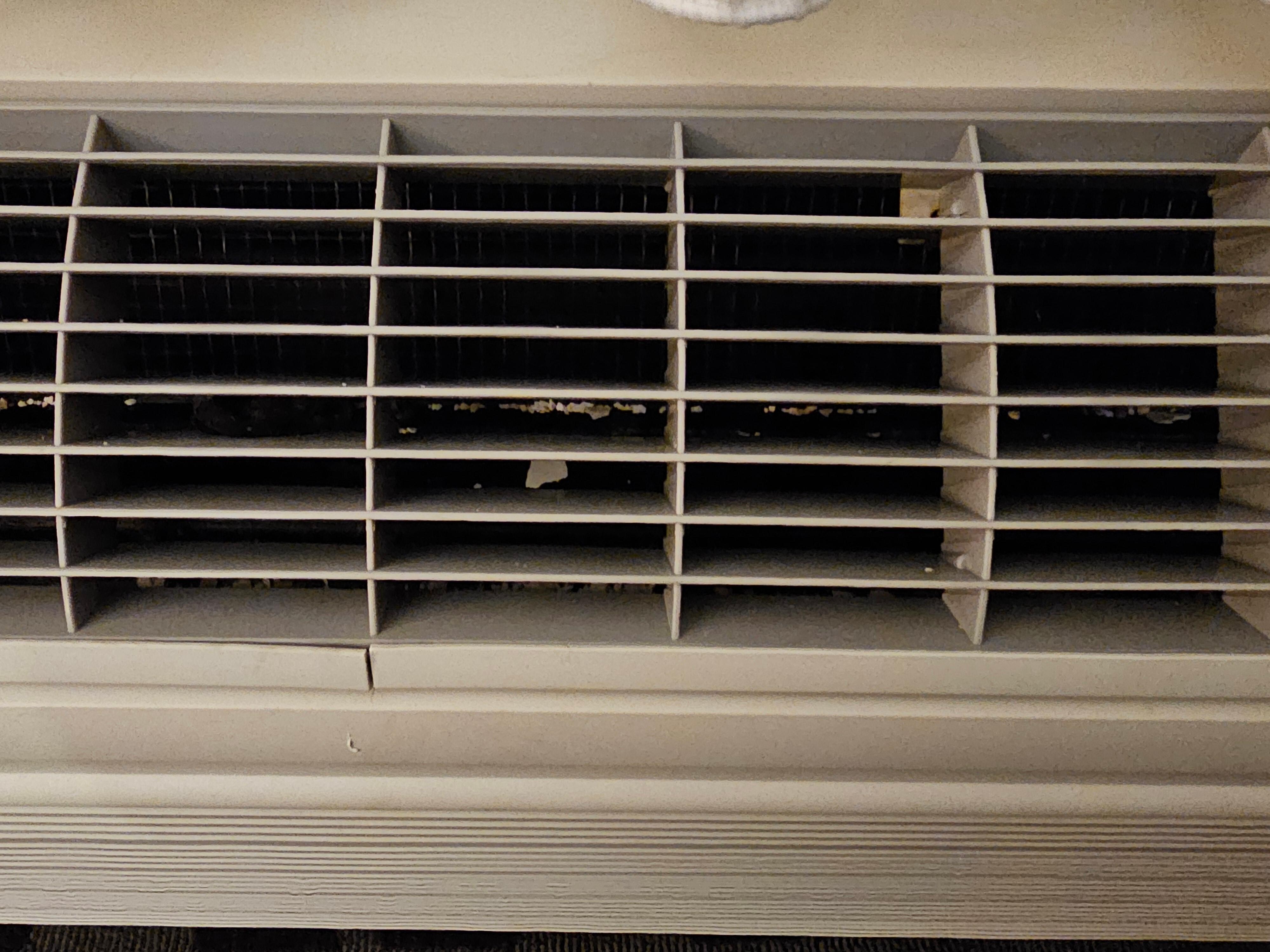 Debris in Air Conditioner 