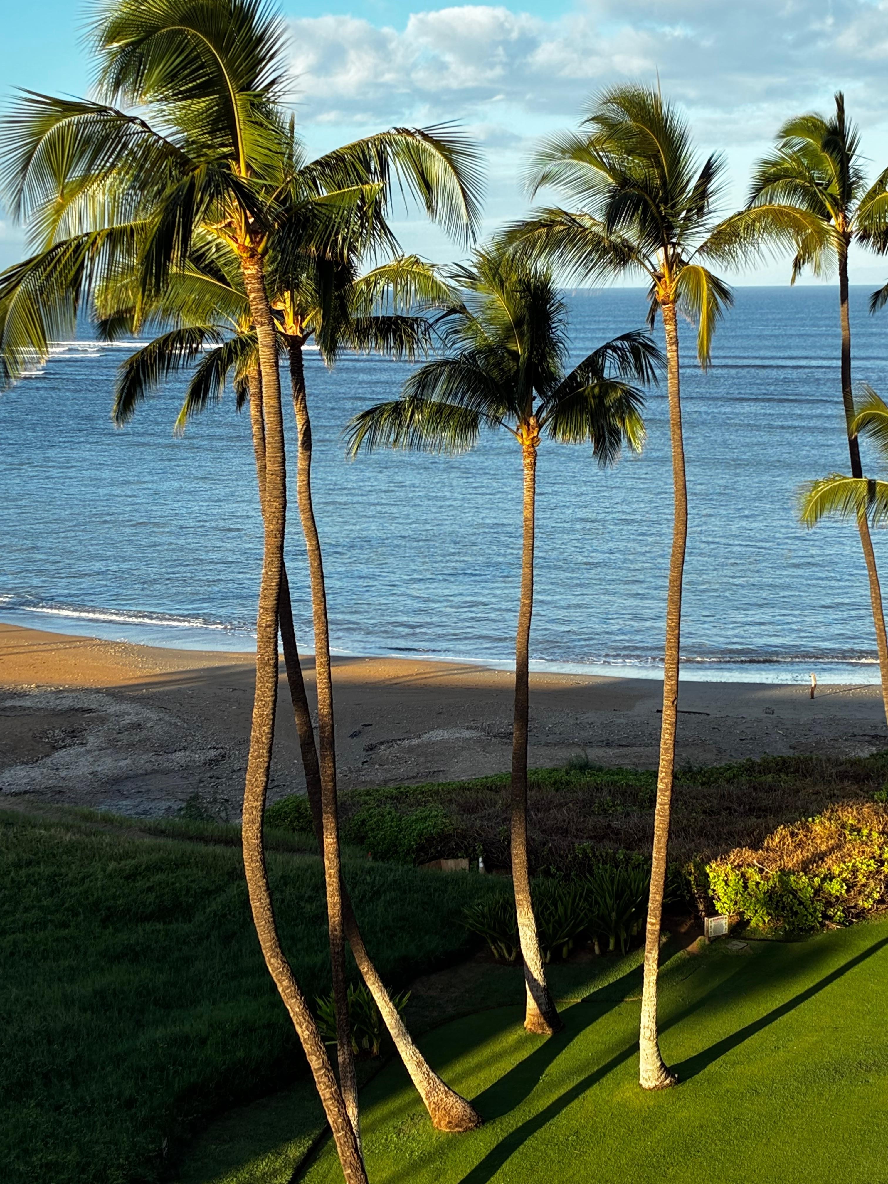 Coffee in the morning! 