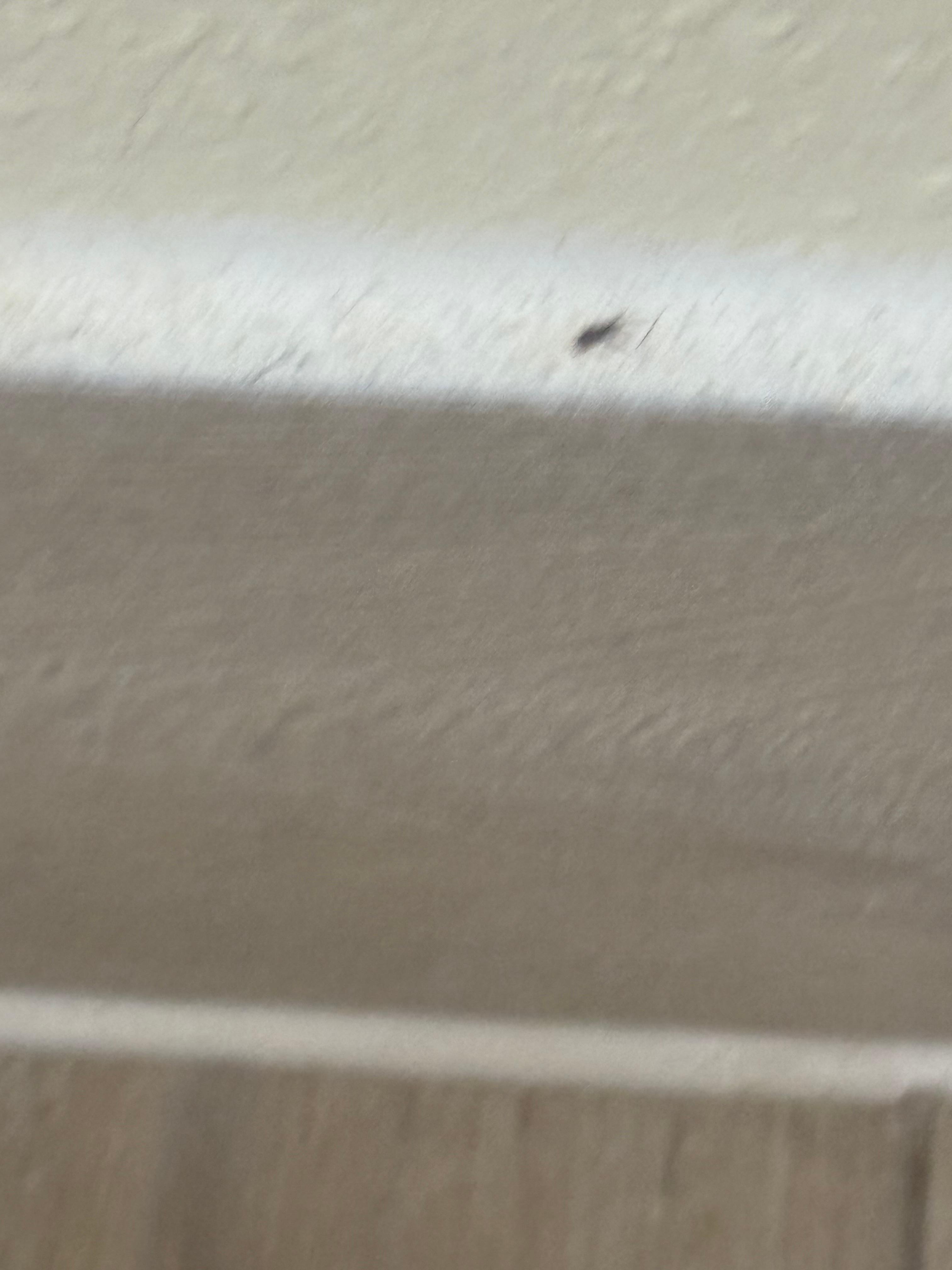 Base boards