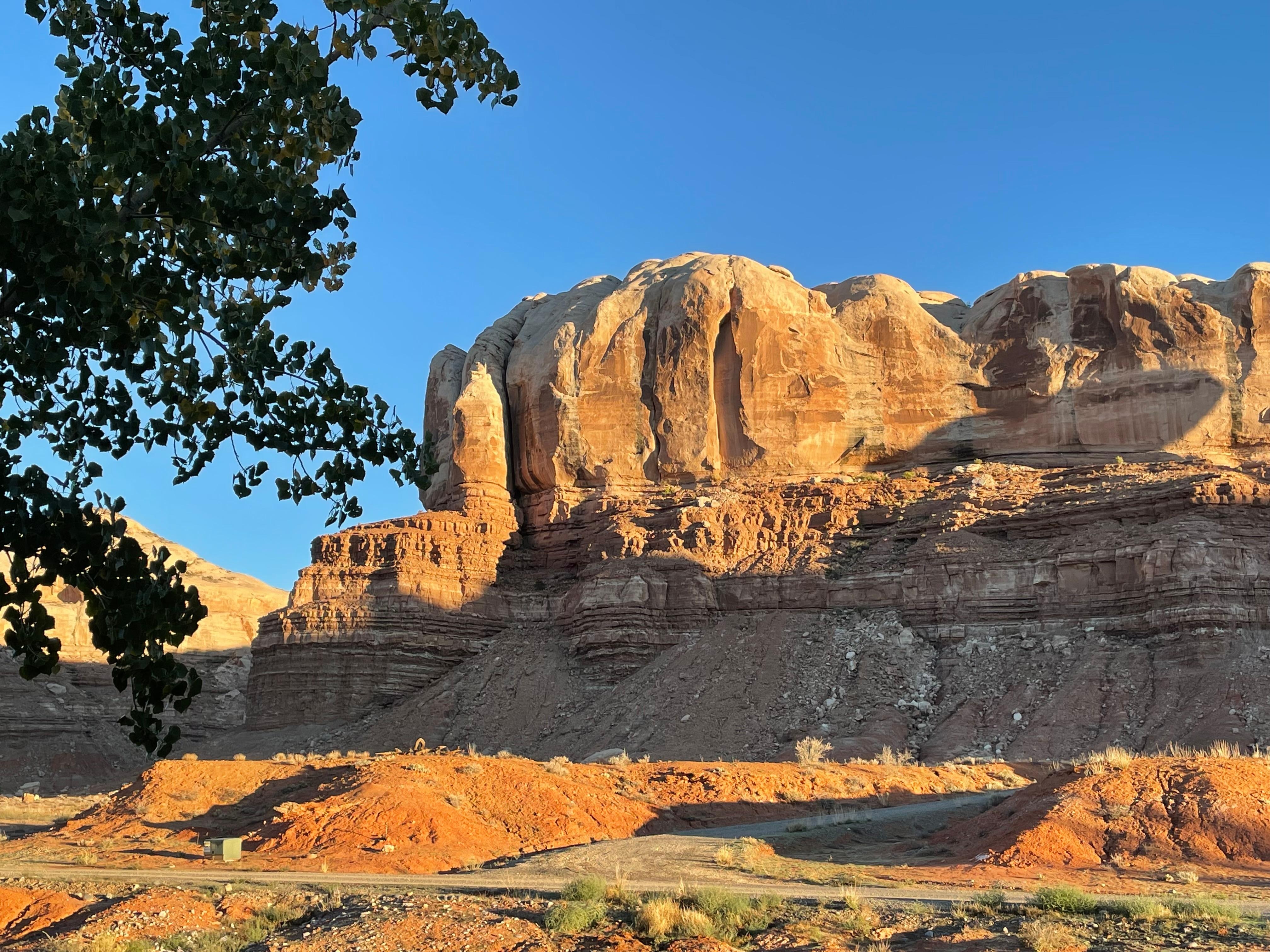 View from the patio.