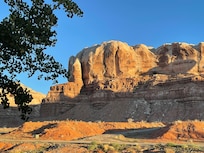 View from the patio.