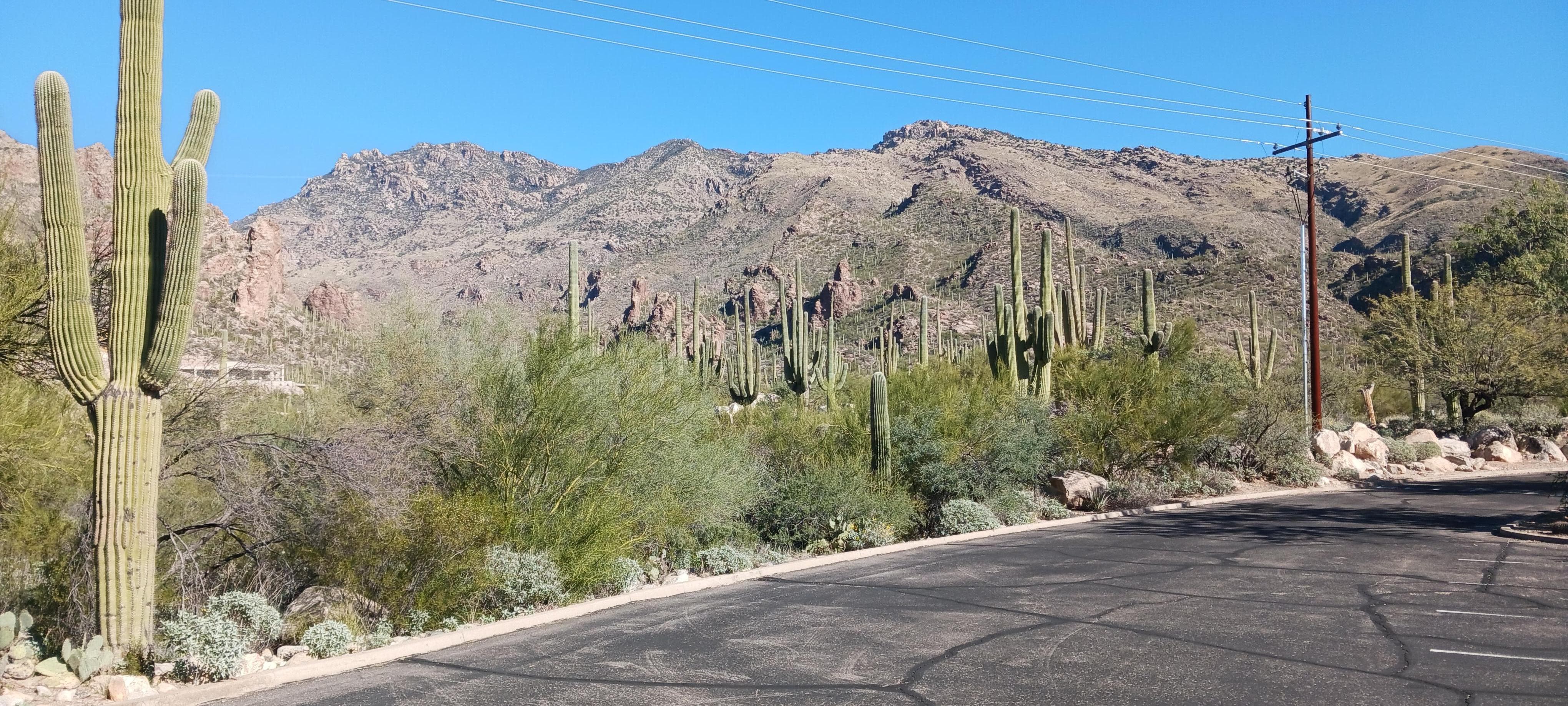 View from the parking lot