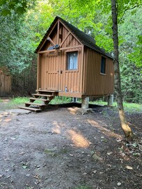 Cutest, perfect bunkie!