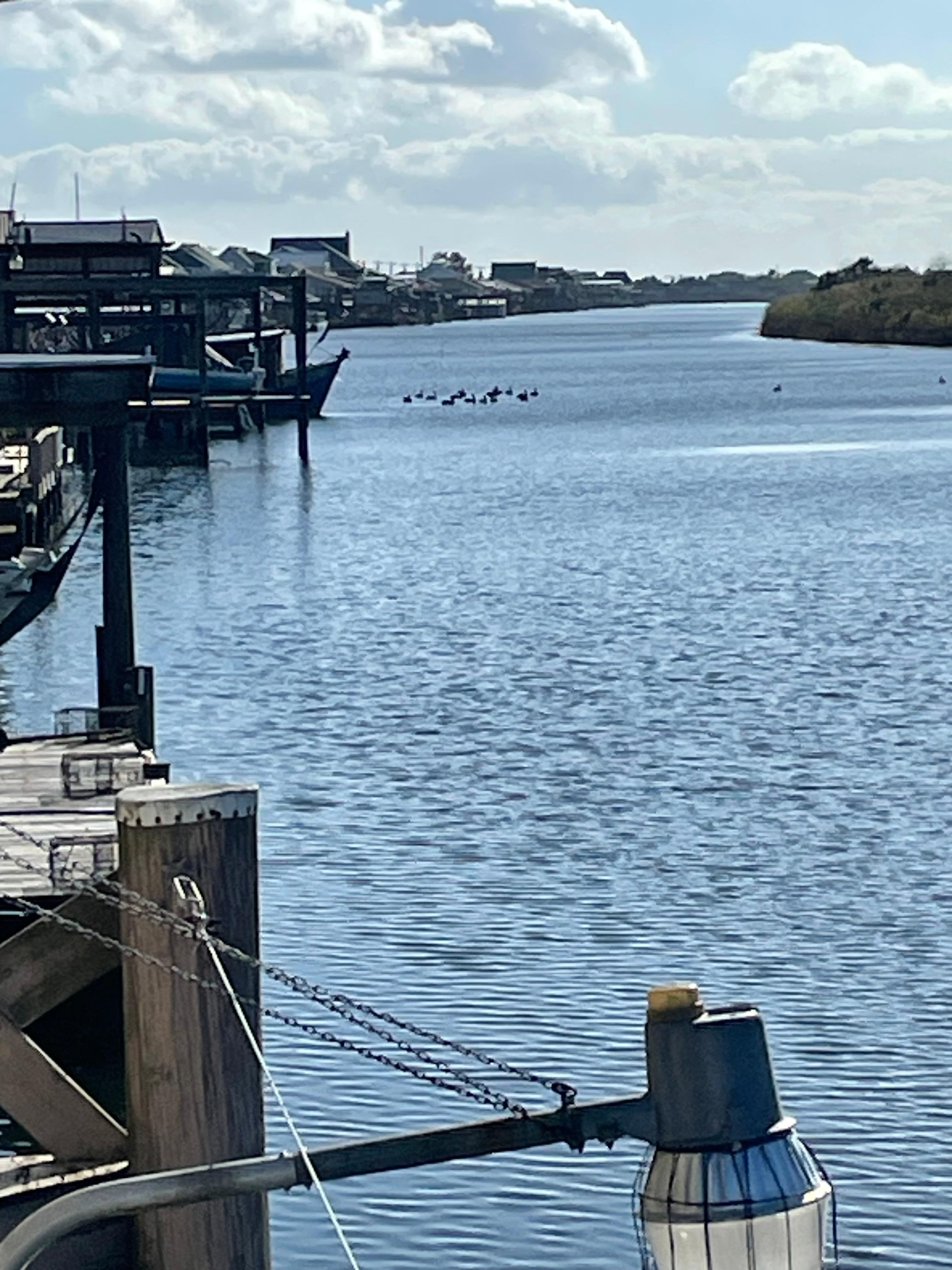 Early morning visit along canal