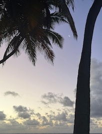 Moon still there as the sun was rising. Picture from the edge of the property.