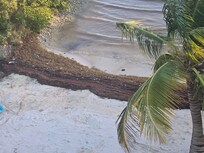 Sargassum was removed on the 2nd day but quite a bit comes in every day. Beach not easily usable