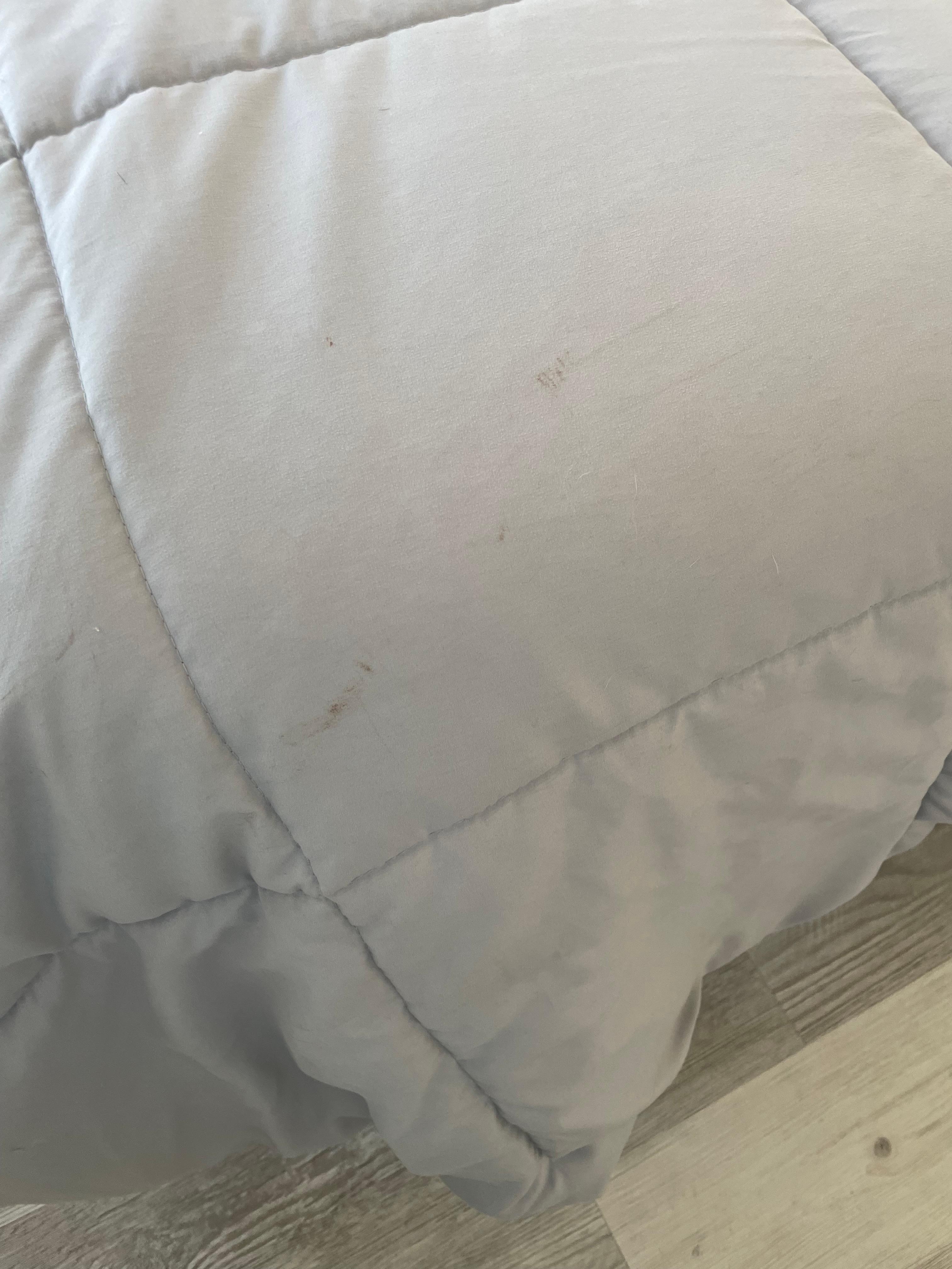 Soiled bed cover when we checked in