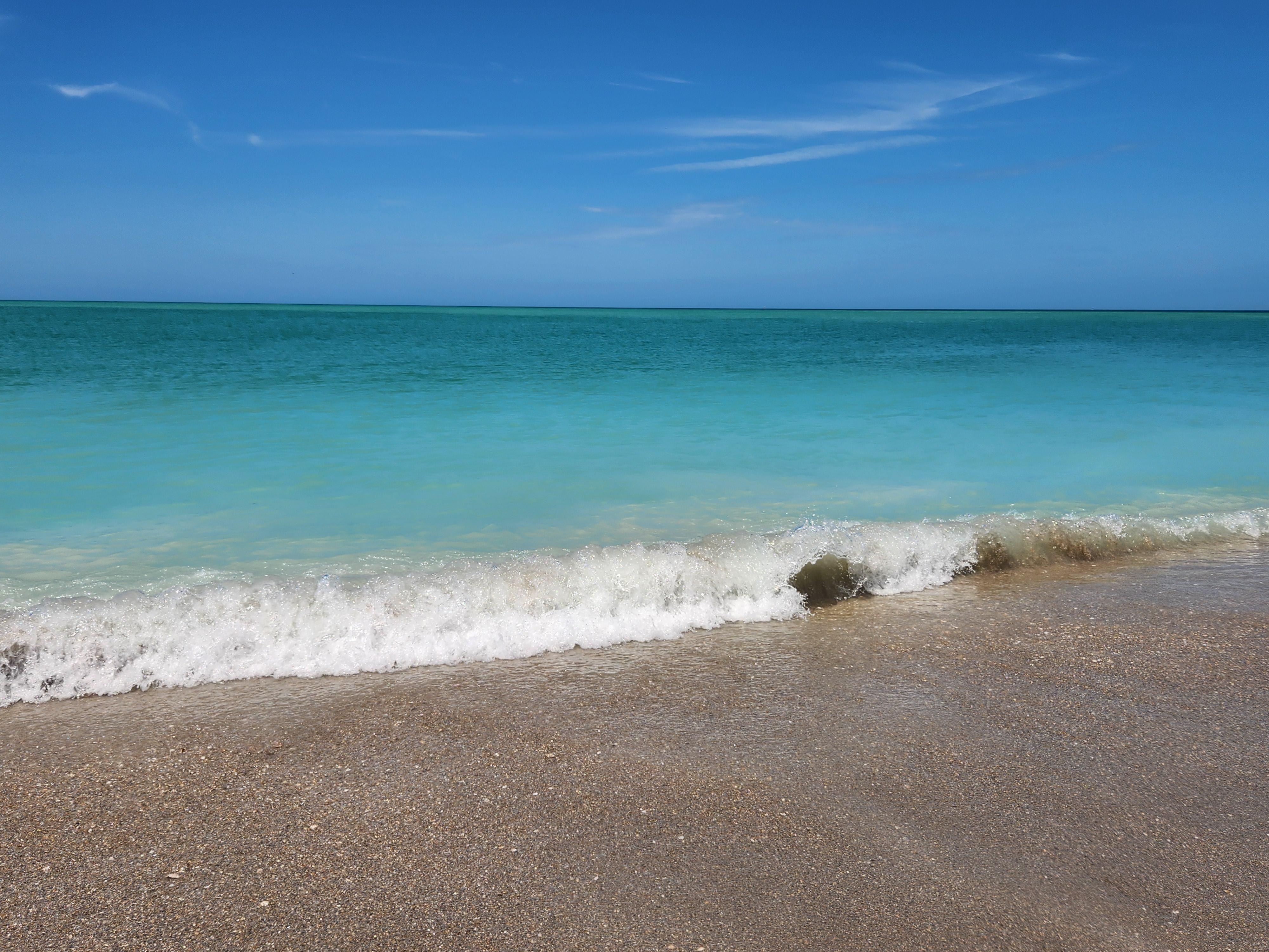 Egmont Key during Dolphin, Snorkeling and Seashell excursion. 