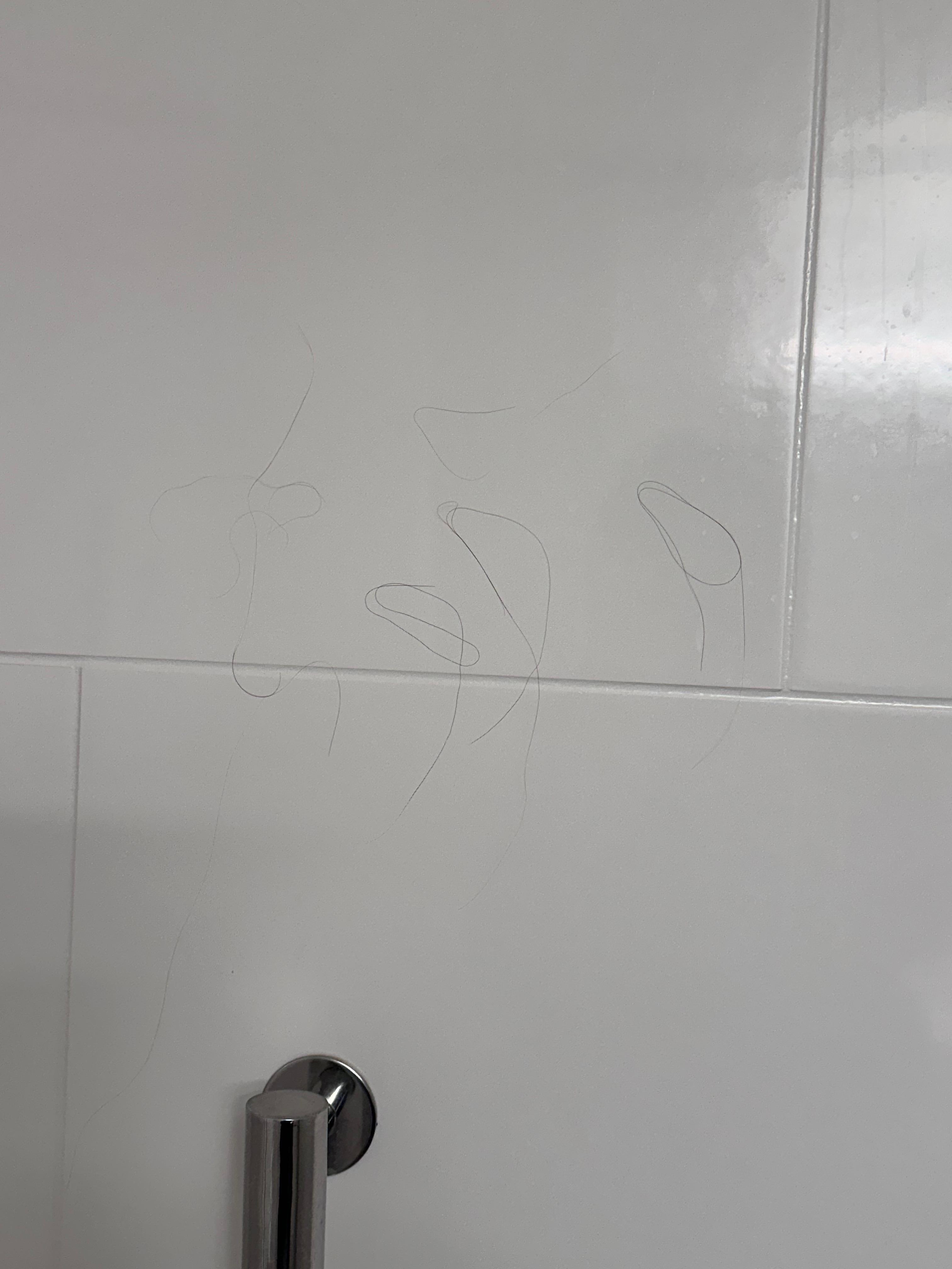 Hair on shower wall