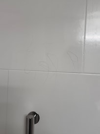 Hair on shower wall