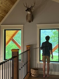 Loft had a great view of the river!