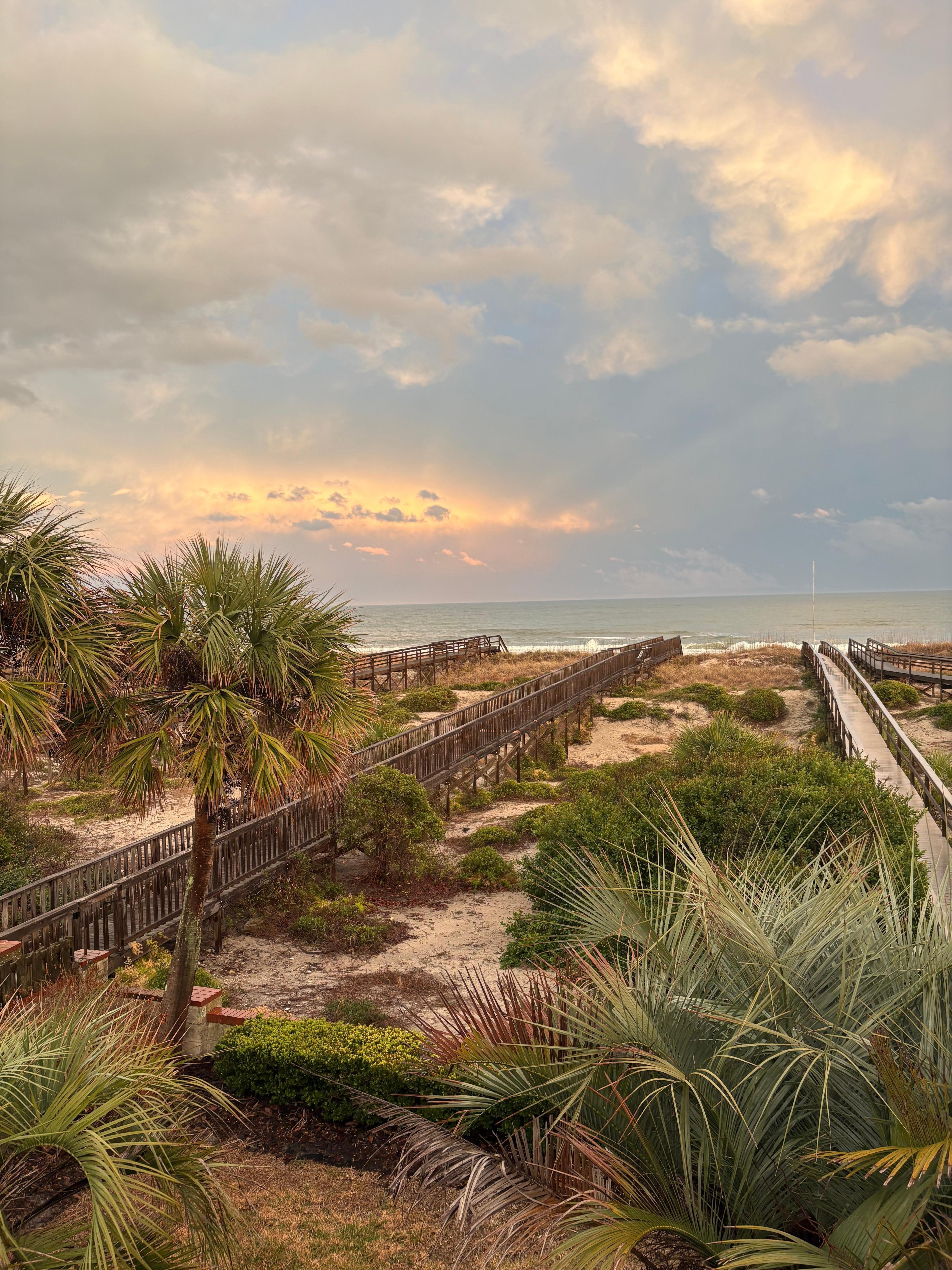 View from the primary