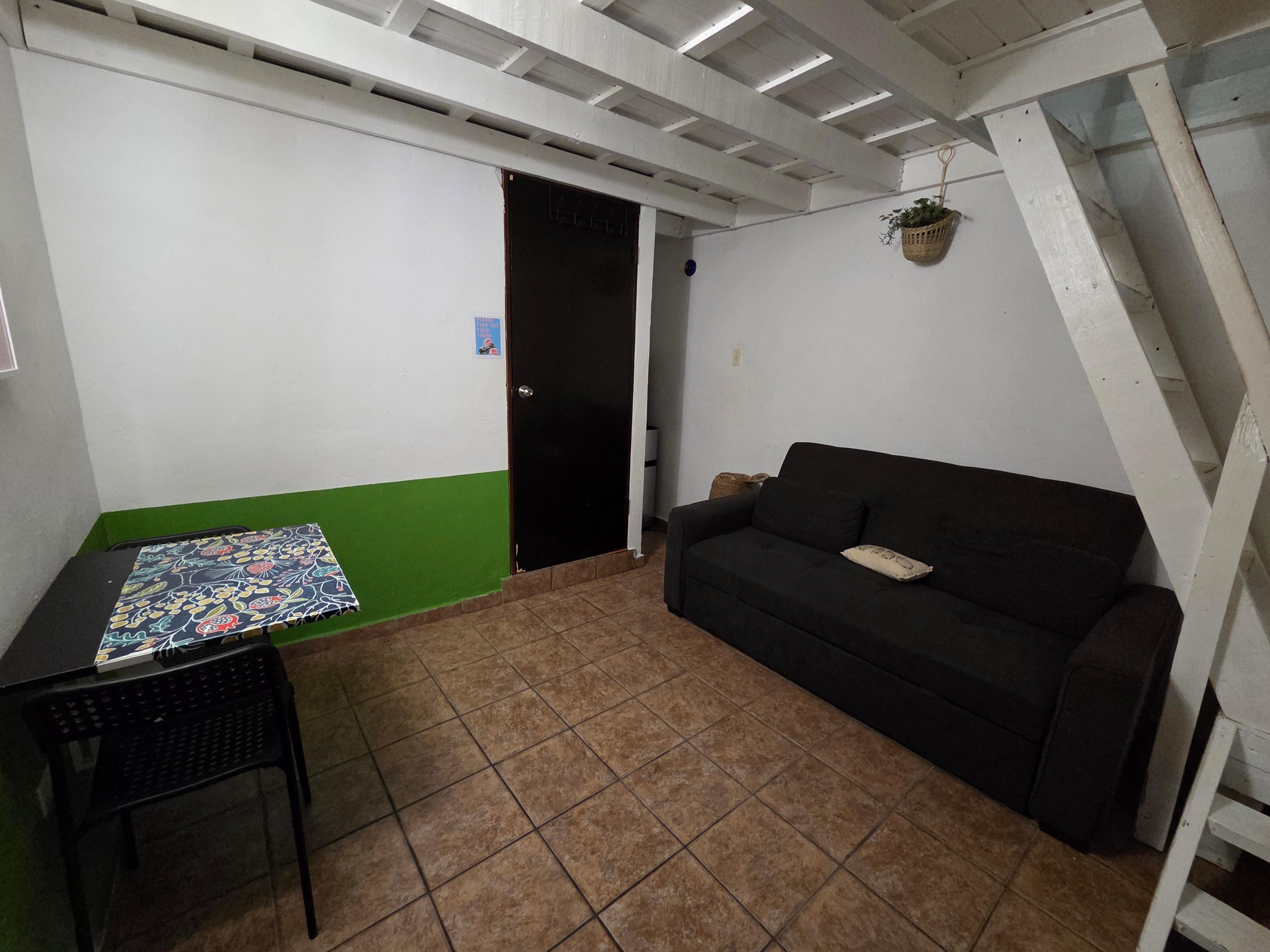 living/dining room with sleeper sofa