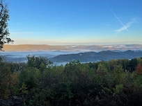 Morning view from back porch