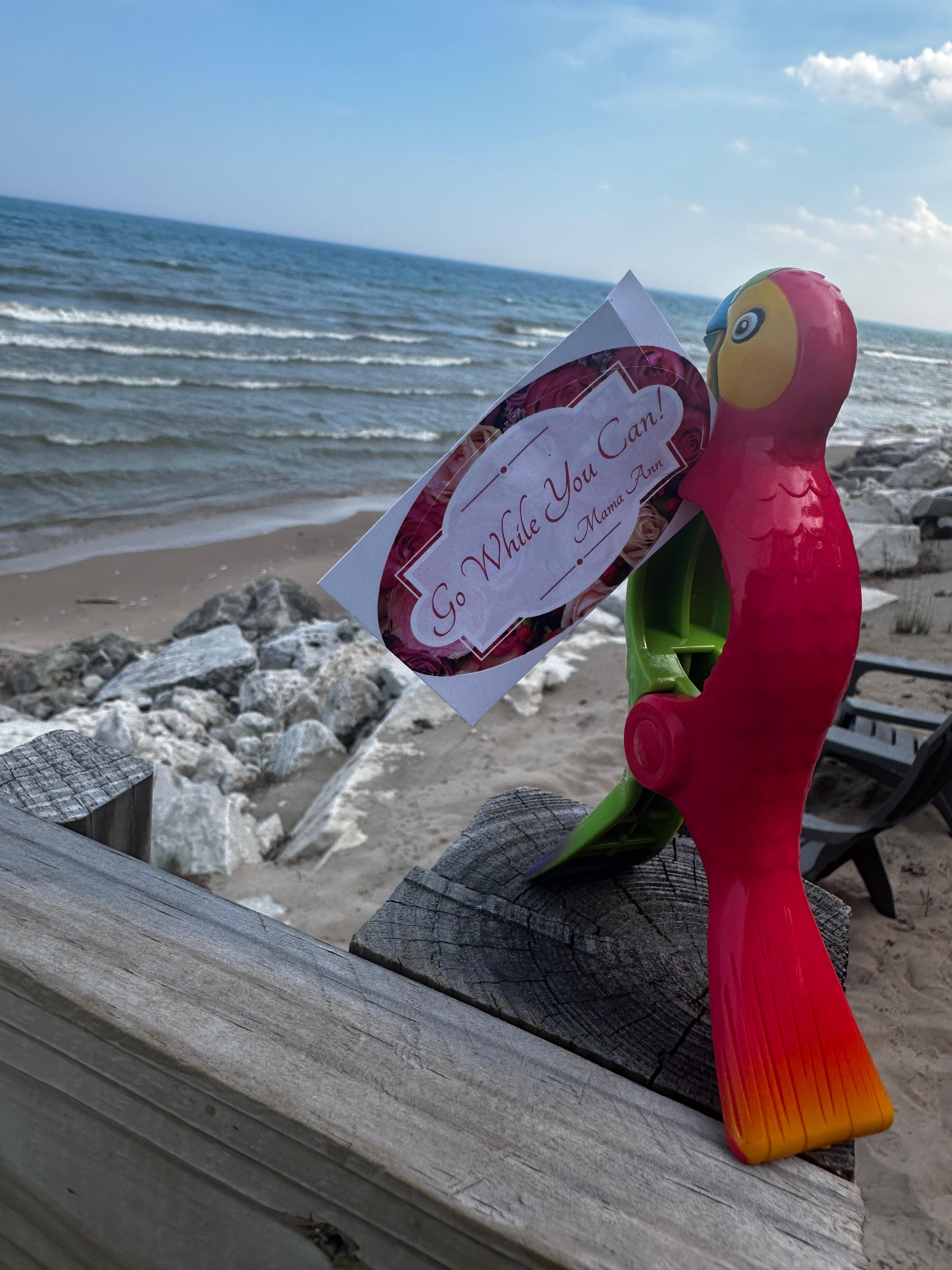 Morning relaxation on the patio!