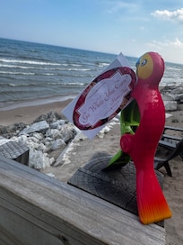 Morning relaxation on the patio!