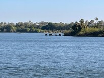 Elephants on the opposite bank of the Zambezi!