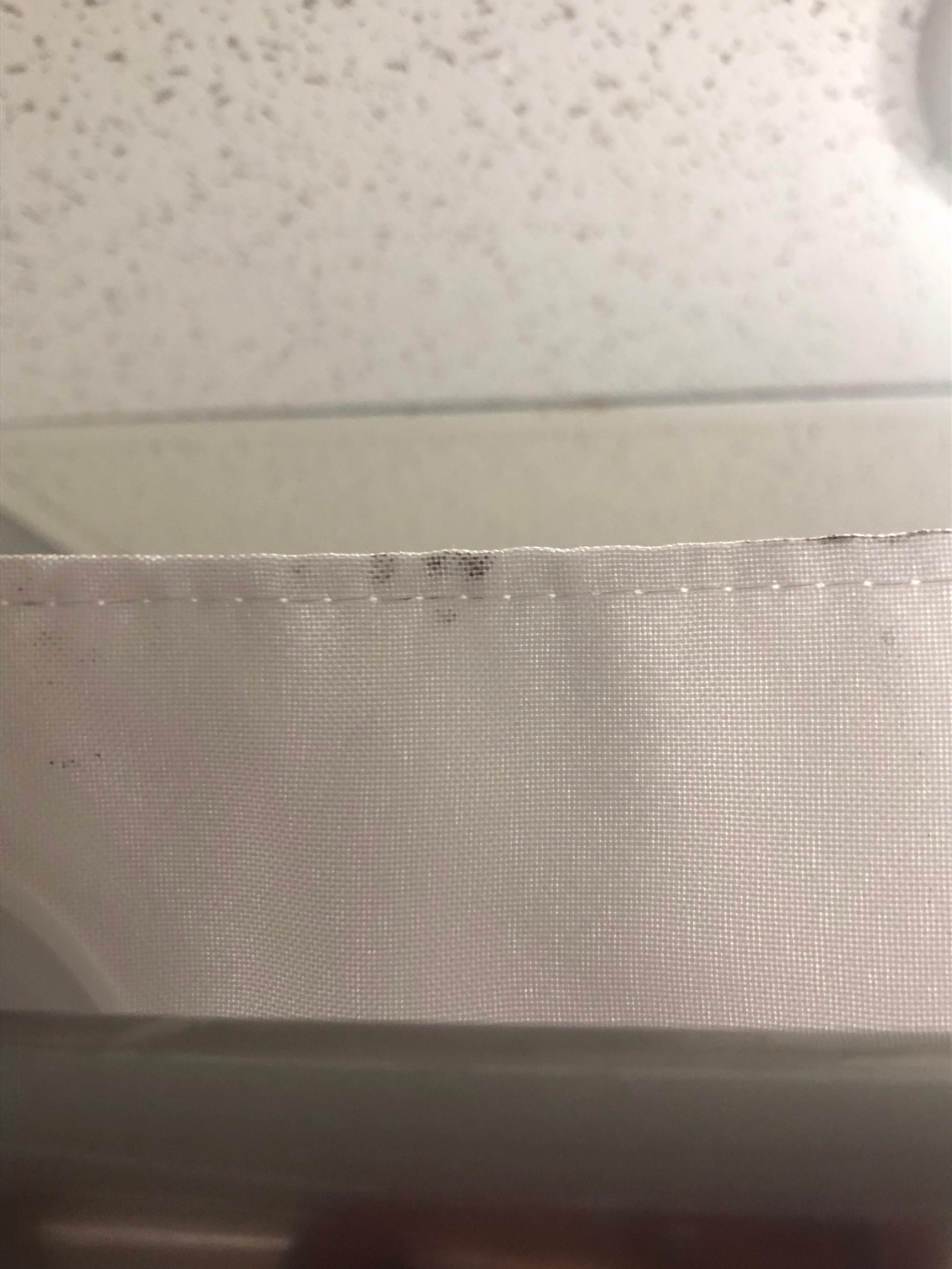 Mold on the curtain
