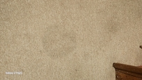 Stained carpet