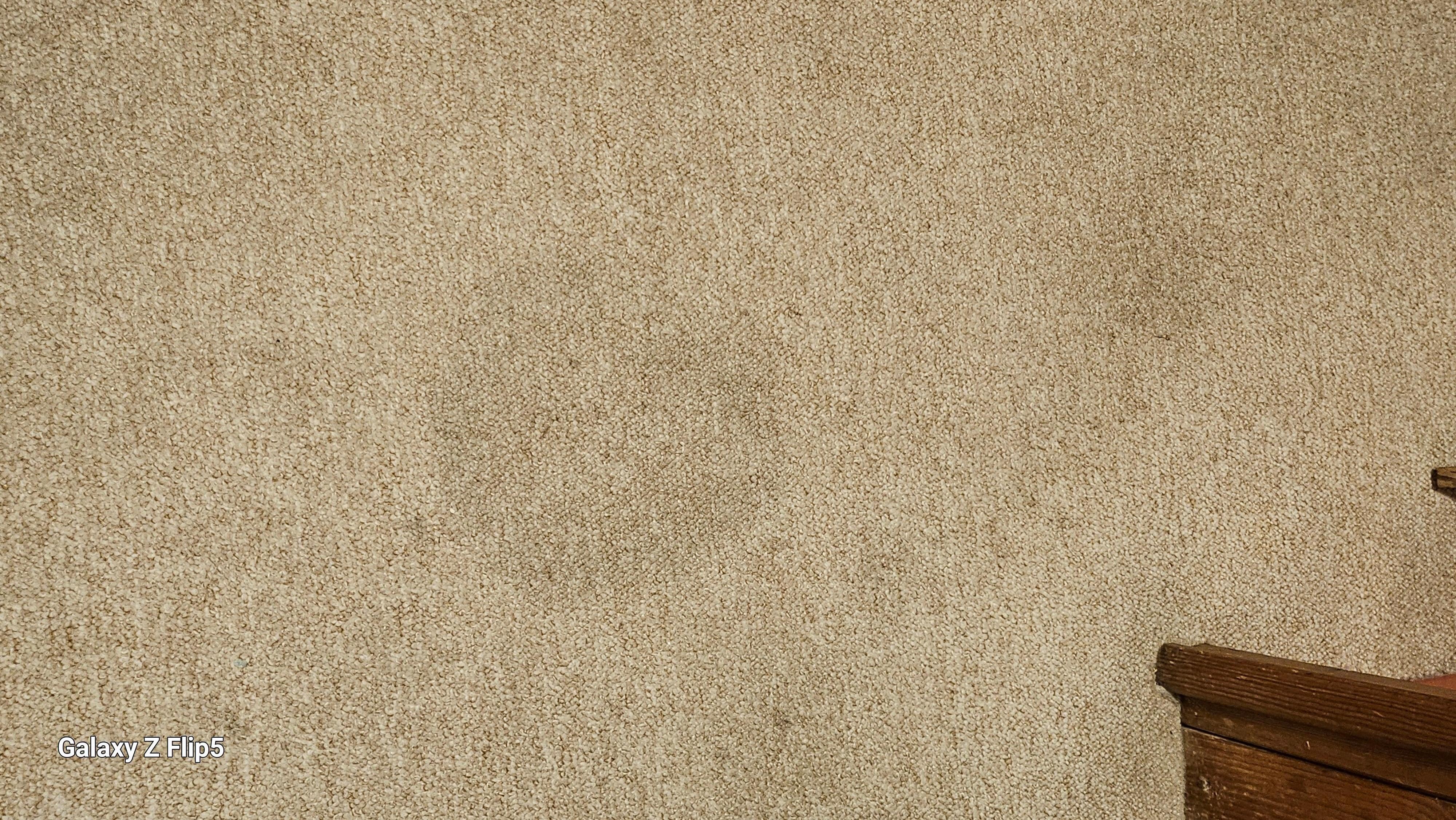 Stained carpet 